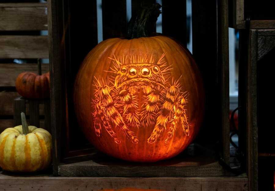 Amazing harry spider pumpkin carving, created by Maniac Pumpkin Carvers.